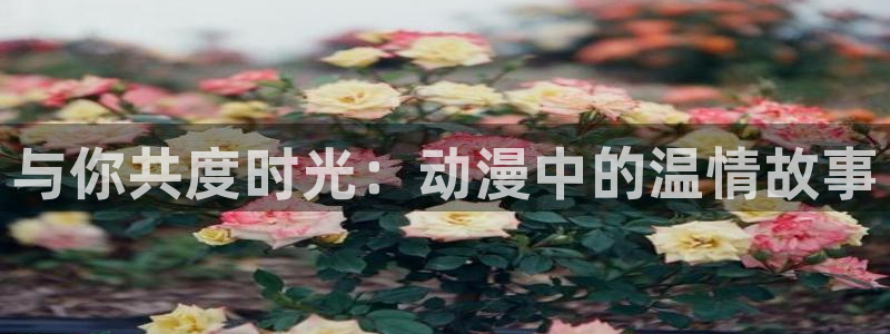 动漫之家免费下载