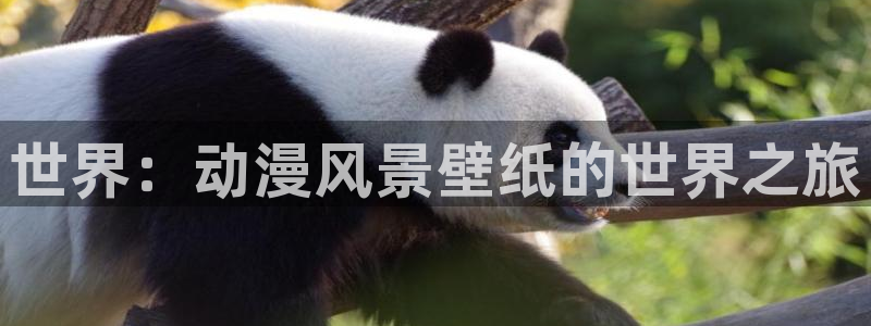 动漫之家app下载